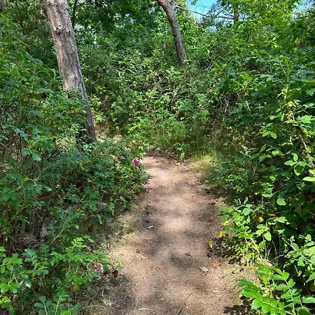 Dom wakacyjny Strandperle