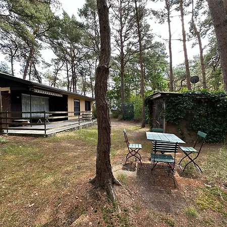 Strandperle Dom wakacyjny